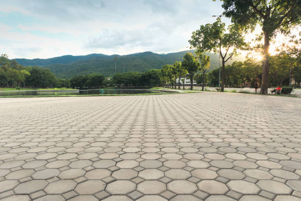 Best Concrete Paver Driveway  in Slaton, TX